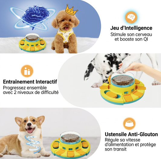 Puzzle Gourmand Interactif