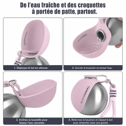 Gourde de Voyage pour Chiens