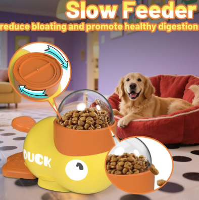 Interactive Duck Puzzle Feeder