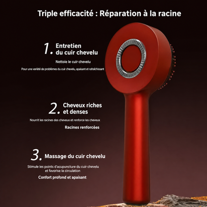 Brosse Magique Anti-Chute Cheveux
